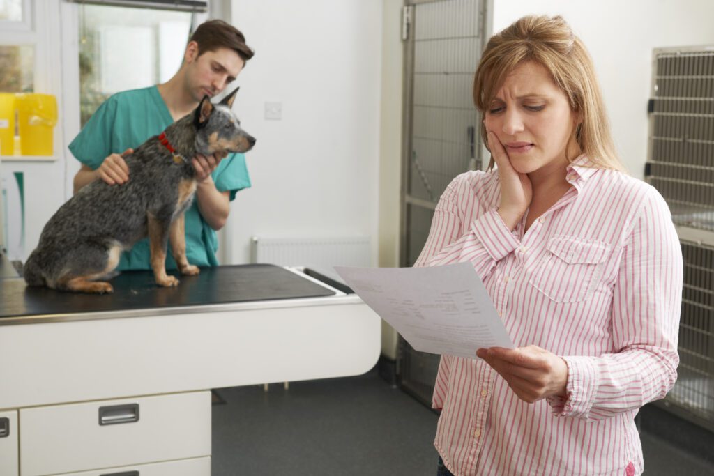 Stressed woman looks at vet bill while her dog sits on the exam table | Veterinarian loan financing