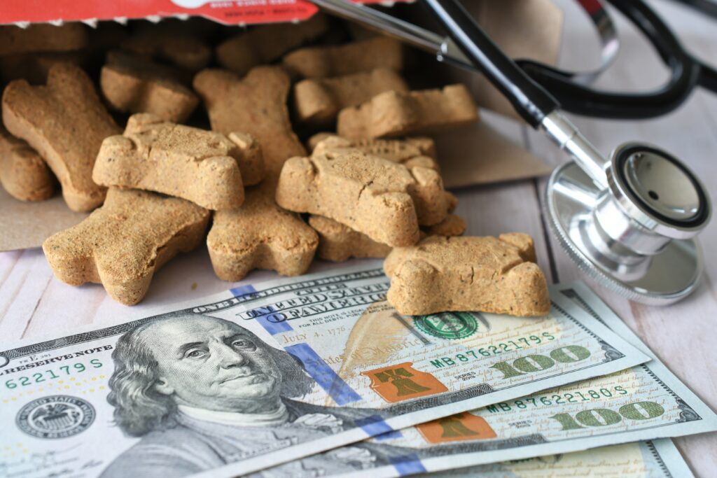 Dog treats spill out of bag onto hundred-dollar bills | Veterinarian loan financing
