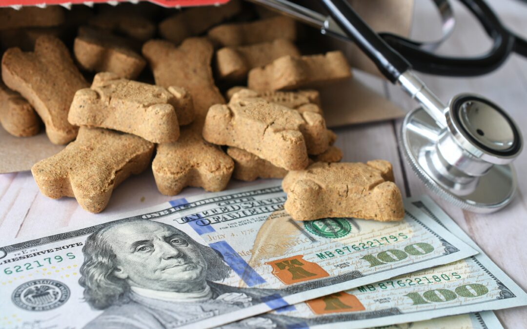 What Are Your Veterinary Financing Options?