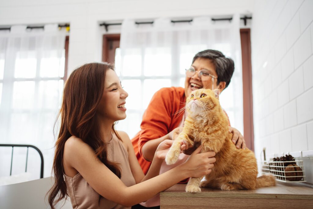 Elderly and young woman smile as they pet orange cat in vet clinic | How to get a veterinary loan