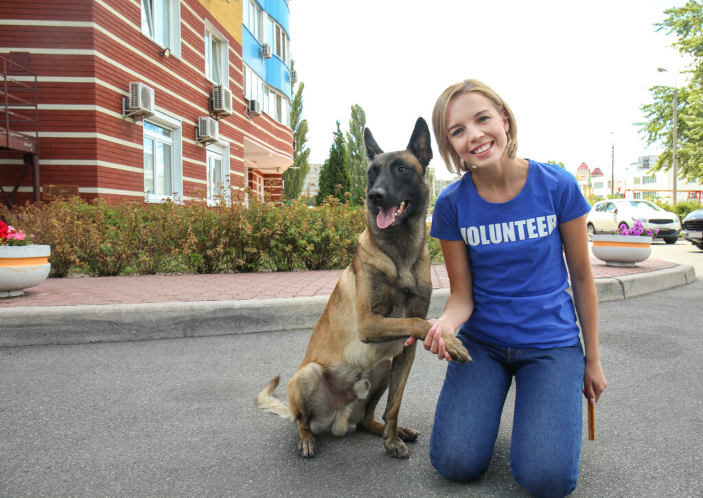 Animal volunteer in blue shirt kneels on pavement next to a German Shepherd | Ways to pay emergency vet bills 