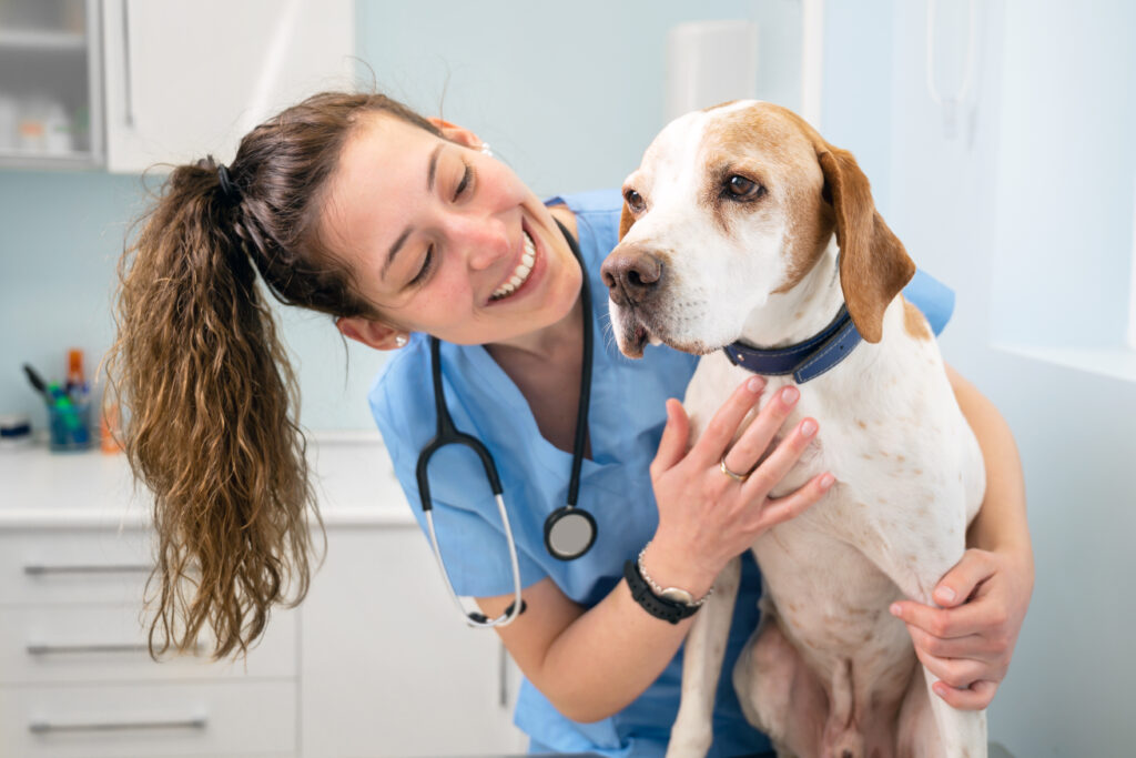 Smiling female vet in blue scrubs leans over to look at dog’s face | Ways to pay emergency vet bills